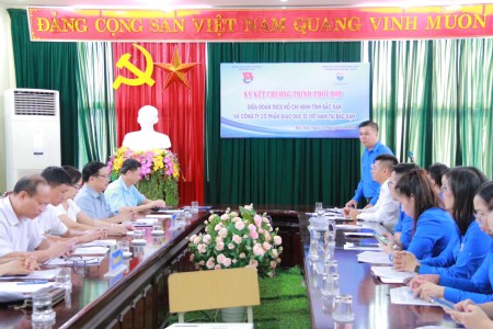 Các yếu tố giúp các bạn trẻ dễ xin việc và được các doanh nghiệp trọng dụng